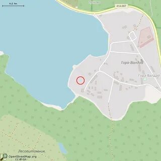 Погода в гора валдае