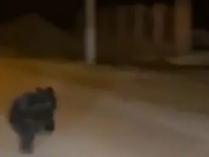 Убегать от медведя во сне