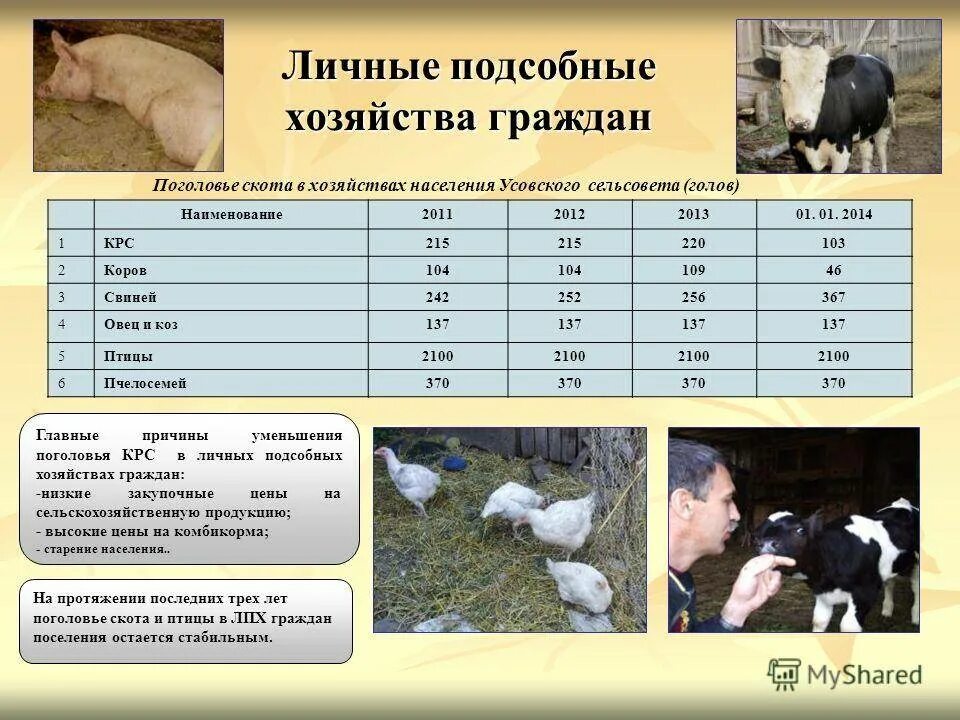 Программа кфх