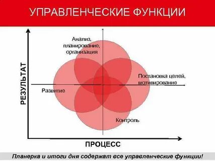 Анализ функции организации