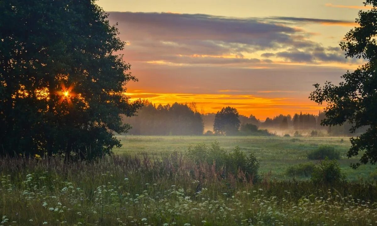 Осенние цветы. Стоял конец августа. Пейзаж лето. Натюрморт на окне. Подсолнухи осенью.