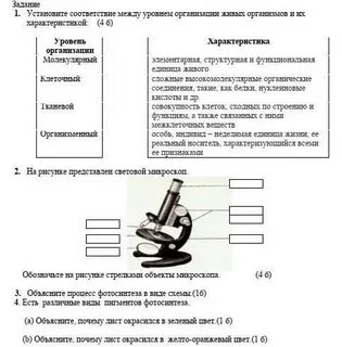 Практическая работа по естествознанию