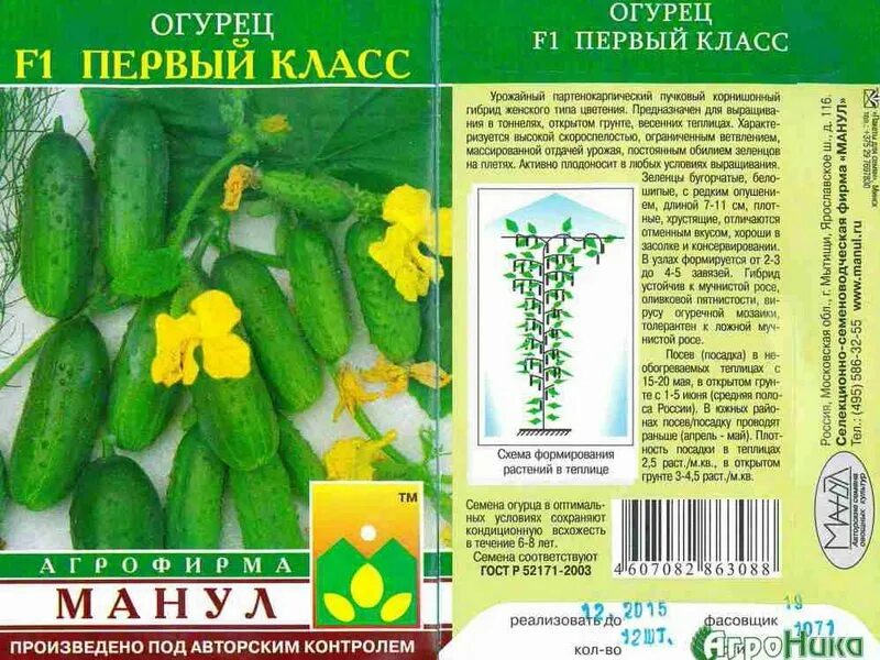 Огурцы сорт назван. Семена огурцов для теплицы самоопыляемые. огурцы семена партенокарпические сорта самоопыляемые. название семян огурцов самоопыляемые для открытого грунта. гладкие огурцы сорта для открытого грунта.