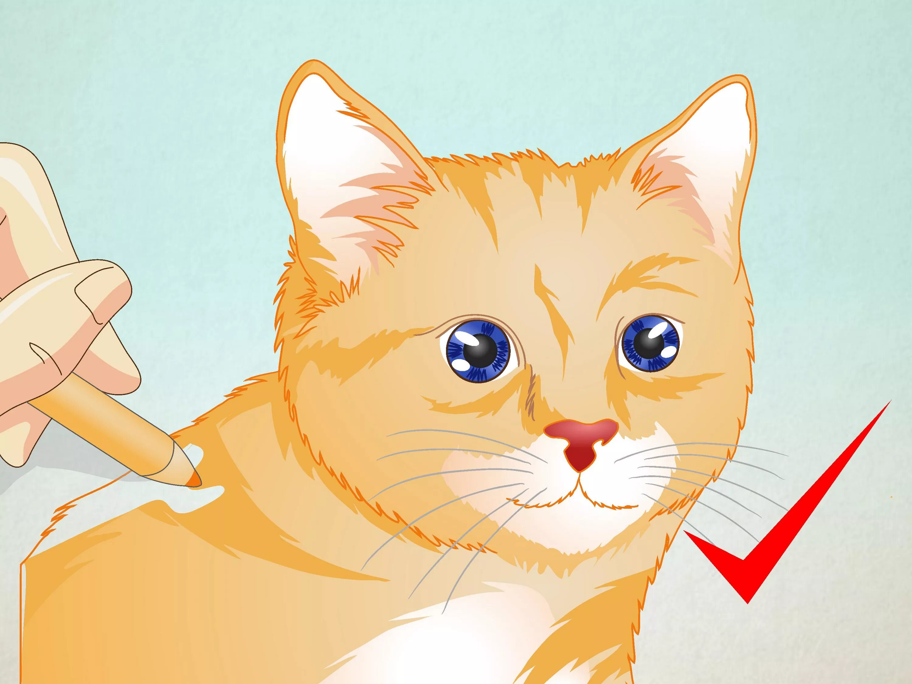 Как нарисовать кошку есть