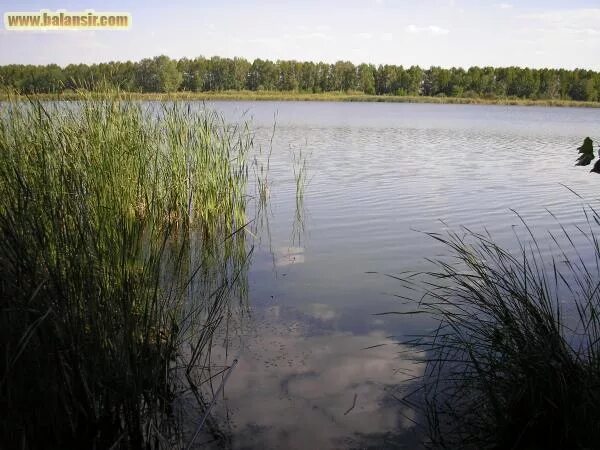 какие рыбы в реки чапаевка. клёвая рыбалка пригорск. озеро березовое чапаевск. с игорем на рыбалке. рыбак фотосессия.