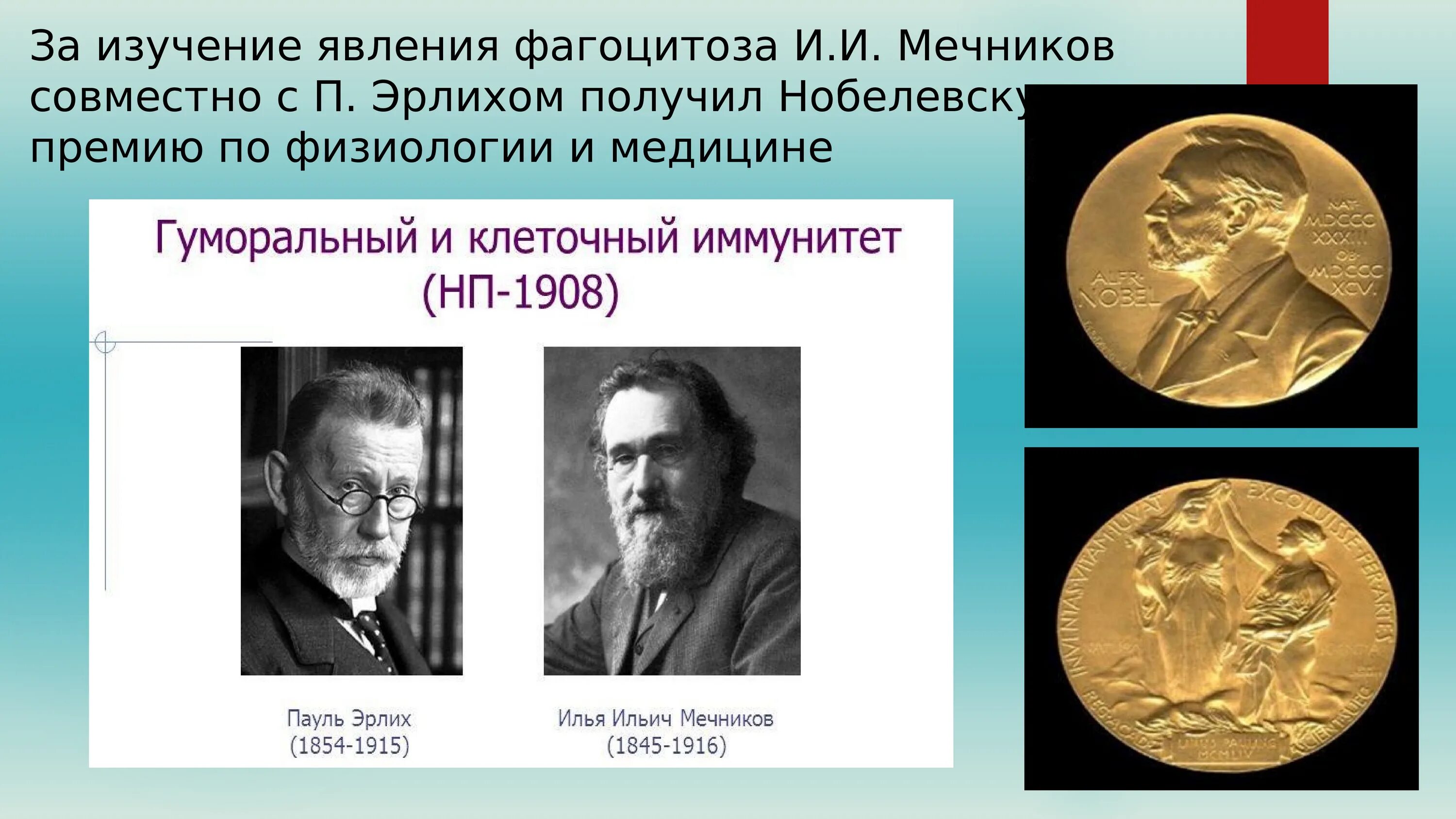 Нобелевская премия Мечникова и Эрлиха. Мечников Нобелевская премия 1908. Мечников Нобелевский лауреат.