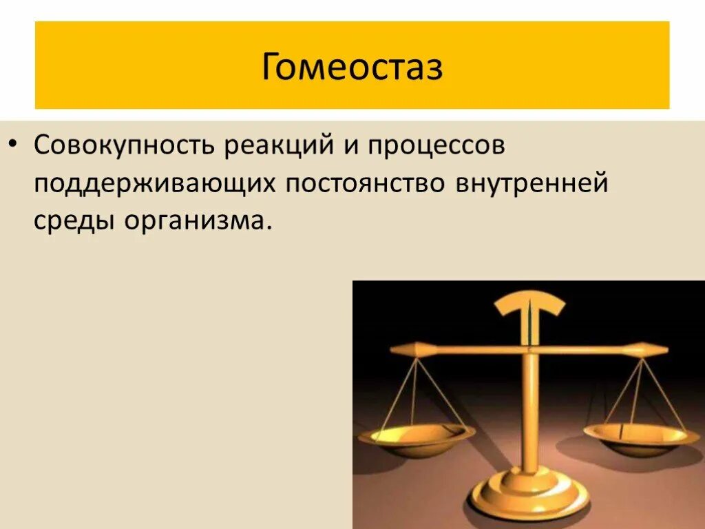 Совокупность реакций обеспечивающих поддержание постоянства внутренней. Гомеостаз. гомеостаз это совокупность. гомеостаз- процесс образования. реакции и процессы гомеостаз.