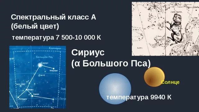 Спектральный класс звезды Сириус. Сириус б спектральный класс. Спектральный класс Сириуса цвет. Спектральный класс цвет температура. Сириус какой класс