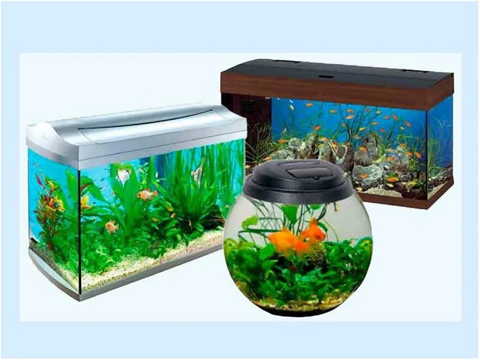 Формы аквариумов