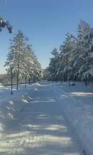 Погода в шимкенте