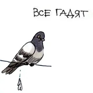 Птичка какает