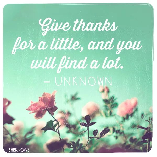 How that make you feel. Amazing quotes. Be thankful for what you've got. Feeling thankful and Lucky. Rest and be thankful Racing.