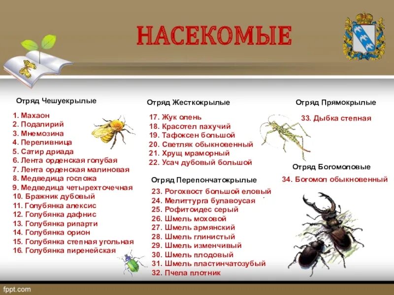 Насекомые список. Насекомые список названий. Насекомые красной книги. Насекомые список редких.