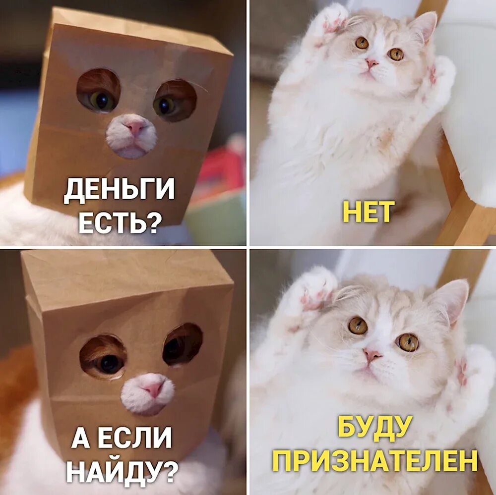Нет а если найду