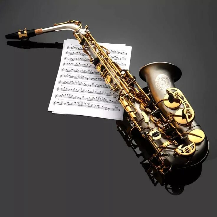 Alto saxophone. Духовые инструменты саксофон. Саксофон муз инструмент. Соксафонинструмент музыкальный. Сакс музыкальный инструмент.