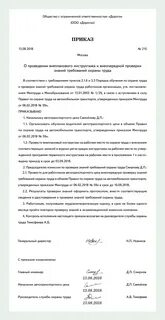 Приказ о проведении внепланового инструктажа 2024