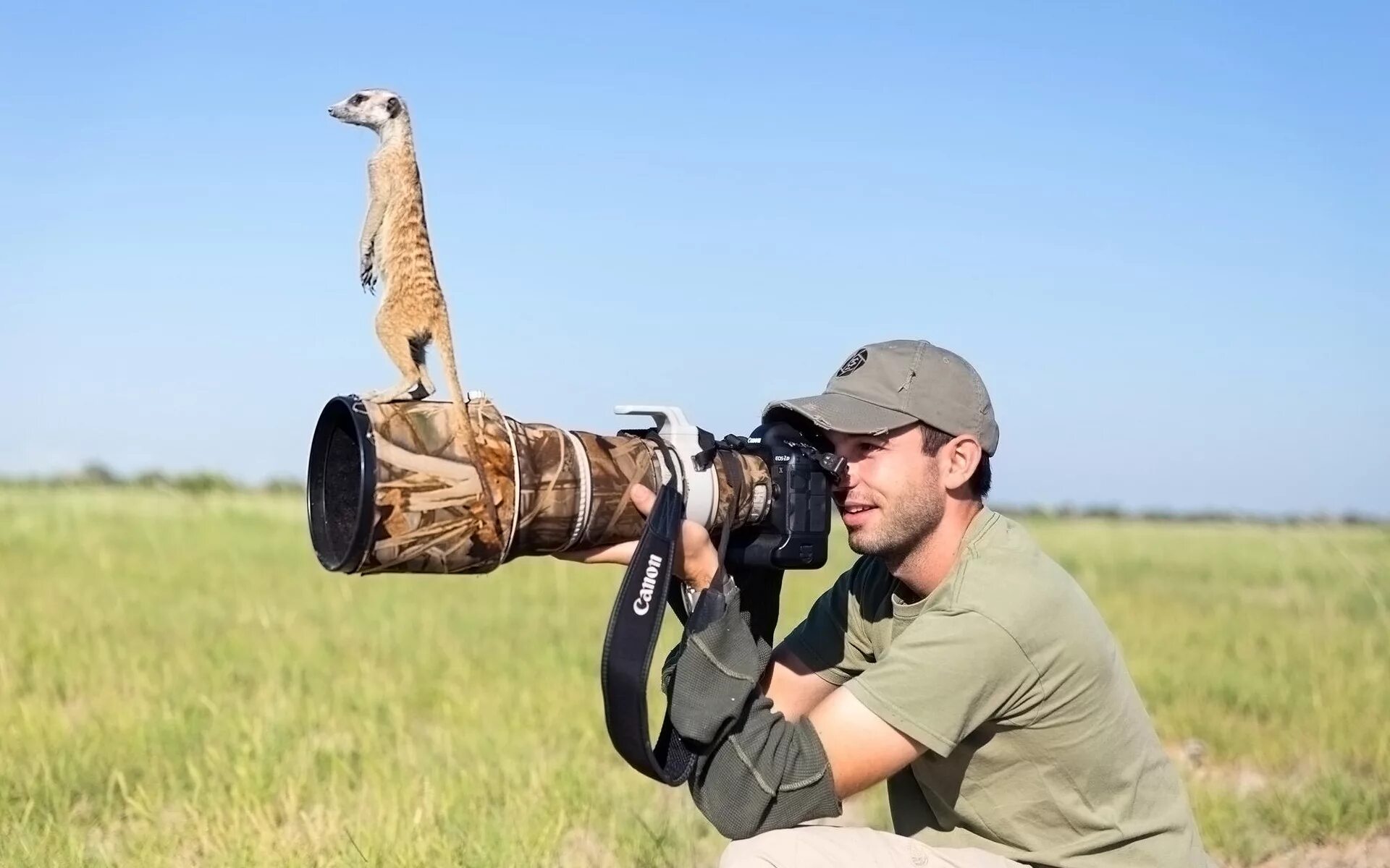 Наблюдая за жизнью животных. Уилл бёррард-Лукас. Фотографирование птиц. Фотоохота на животных в дикой природе. Фотографы дикой природы с животными.