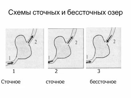 Сточные озера соленые или пресные