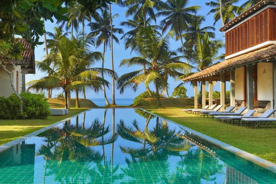 Шри ланка отдых 2025. Шри ланка франджипани. thalpe beach шри ланка. the frangipani tree by edwards collection 5*. шри ланка отели в лесу.