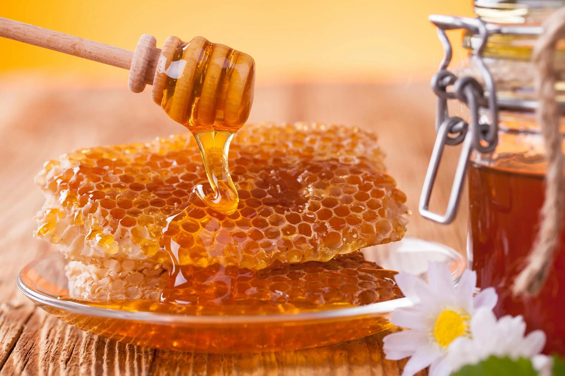 Пчелиный мёд. Мёд в сотах. Соты меда. Фестиваль меда. Much honey