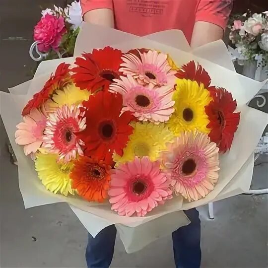 Гербер в москве 2024. Минигербера сури. Минигербера сури. Красивые букеты с герберами. Минигербера липстик.