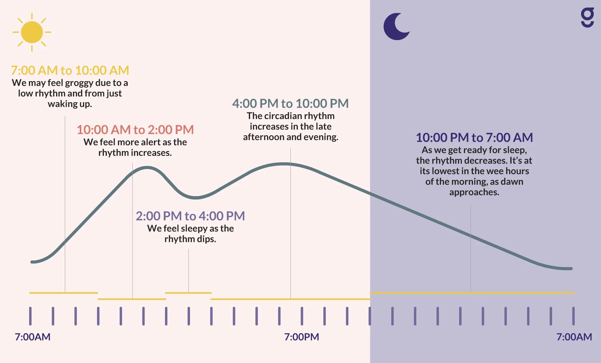 Циркадные ритмы сна и бодрствования. Битрикс 24 лого. Circadian rhythm. Circadian rhythm. Мелатонин циркадные ритмы.