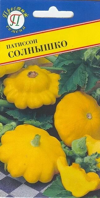 Патиссон солнышко. Патисон или патиссон. Гавриш патиссон солнышко. Патиссон солнышко описание. Патиссон нло оранжевый.