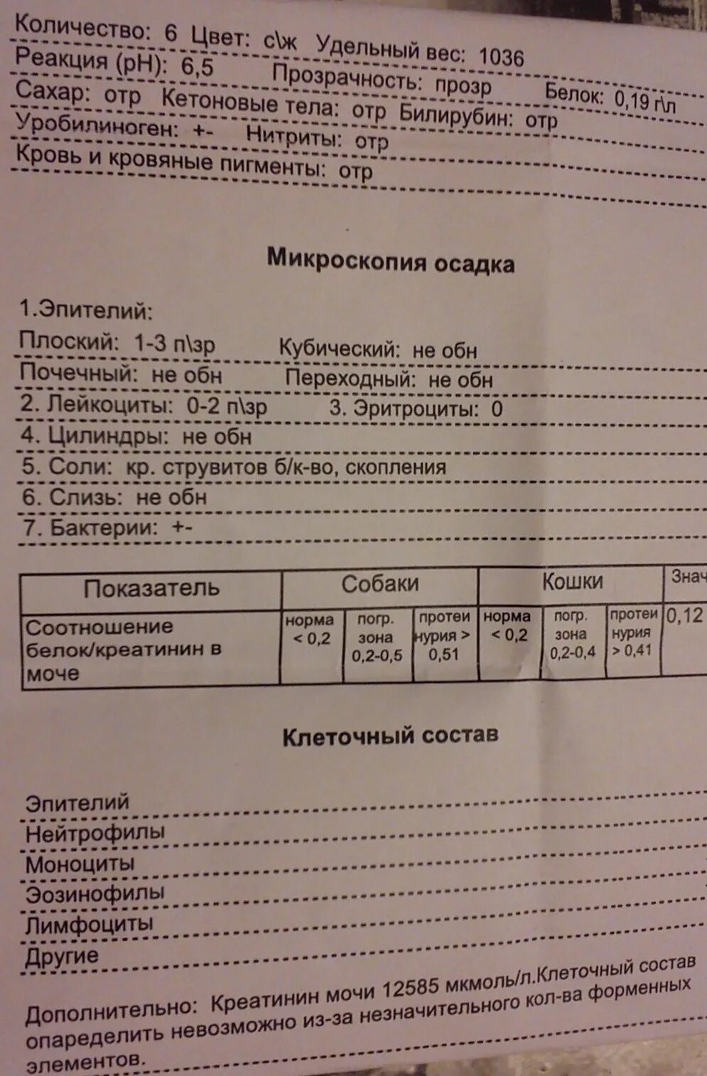 Микроальбумин в суточной моче что это значит. МАУ анализ мочи. МАУ моча анализ что это. МАУ анализ норма. МАУ расшифровка анализа.