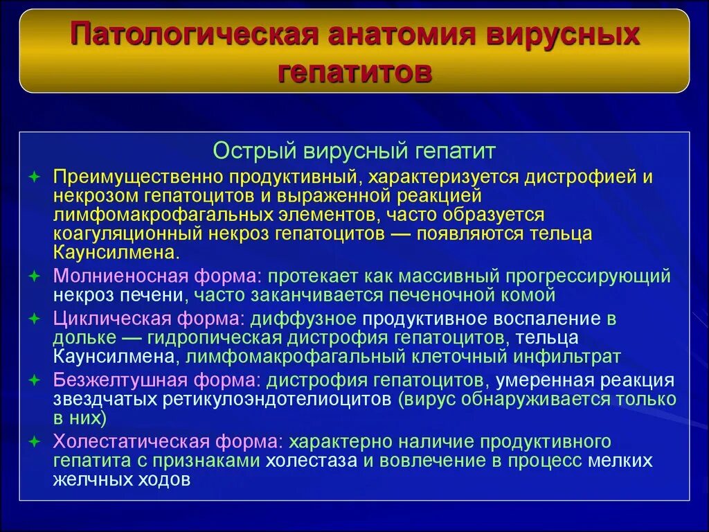 Какая форма гепатита. Вирусный гепатит пот анатоми. Острый вирусный гепатит симптомы. Вирусный гепатит патологическая анатомия. Классификация гепатитов патанатомия.