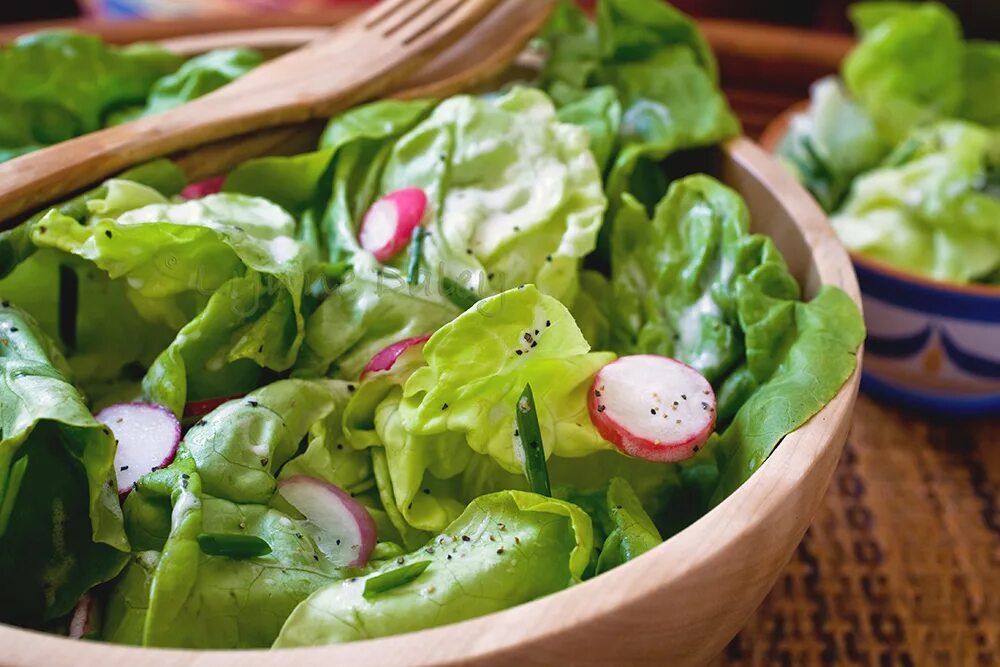Листья салата. Зеленый салат. Салат с салатными листьями. Салат с зелеными листьями салата. Healthy salad