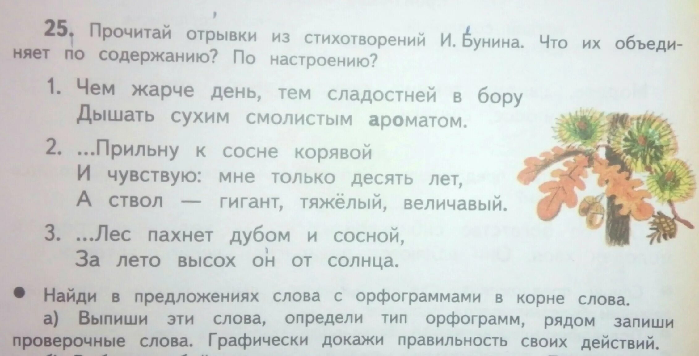 Предложение со словом атлас 1 класс. Предложение со словом великолепный. Предложение со словом корень лес. Предложение со словом Бор 4 класс.