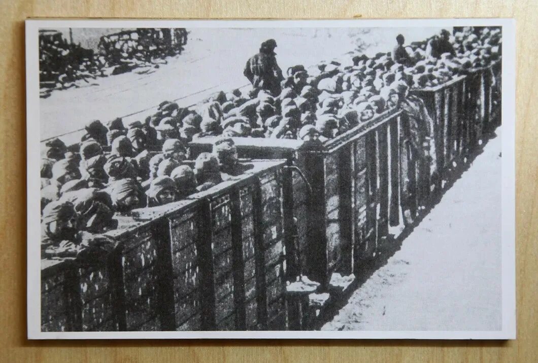 Плен под вязьмой. Лагерь военнопленных вязьма. Котёл под вязьмой 1941 год. Пленные под вязьмой в 1941. Советские пленные под вязьмой 1941.