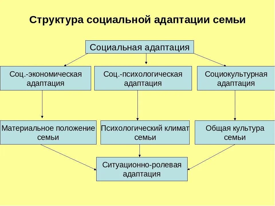 Схемы социально-психологическая адаптация. Виды психологической адаптации личности. Структура социальной адаптации. Социальная адаптация схема.