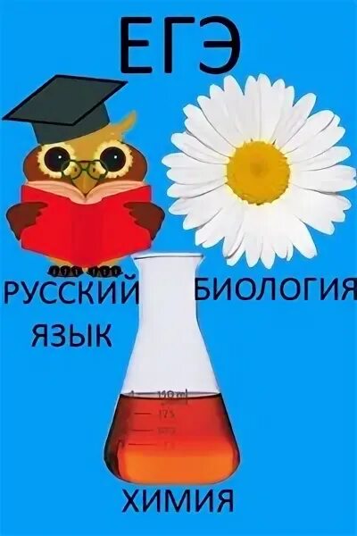 Биолог русский язык. Математика биология химия русский. Куда можно поступить с химией и биологией. Биолог русский язык. Химия биология русский куда можно поступить.