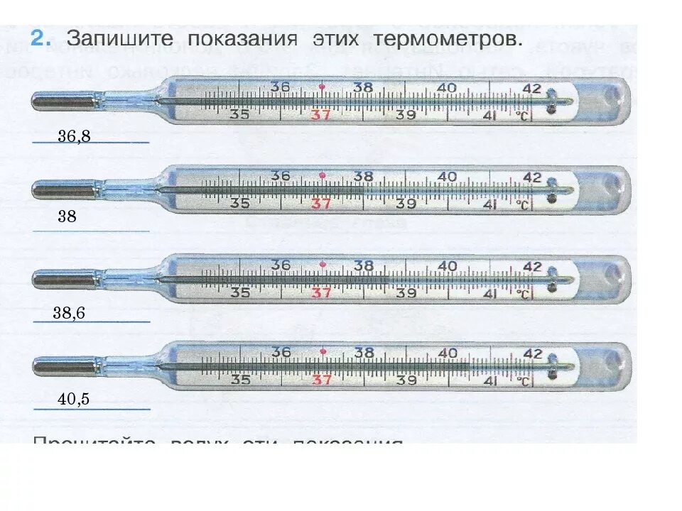 Как понять температуру по градуснику ртутному. Показания ртутного термометра. Как определить температуру на термометре. Виды ртутных градусников для измерения температуры. Сколько меряют температуру ртутным