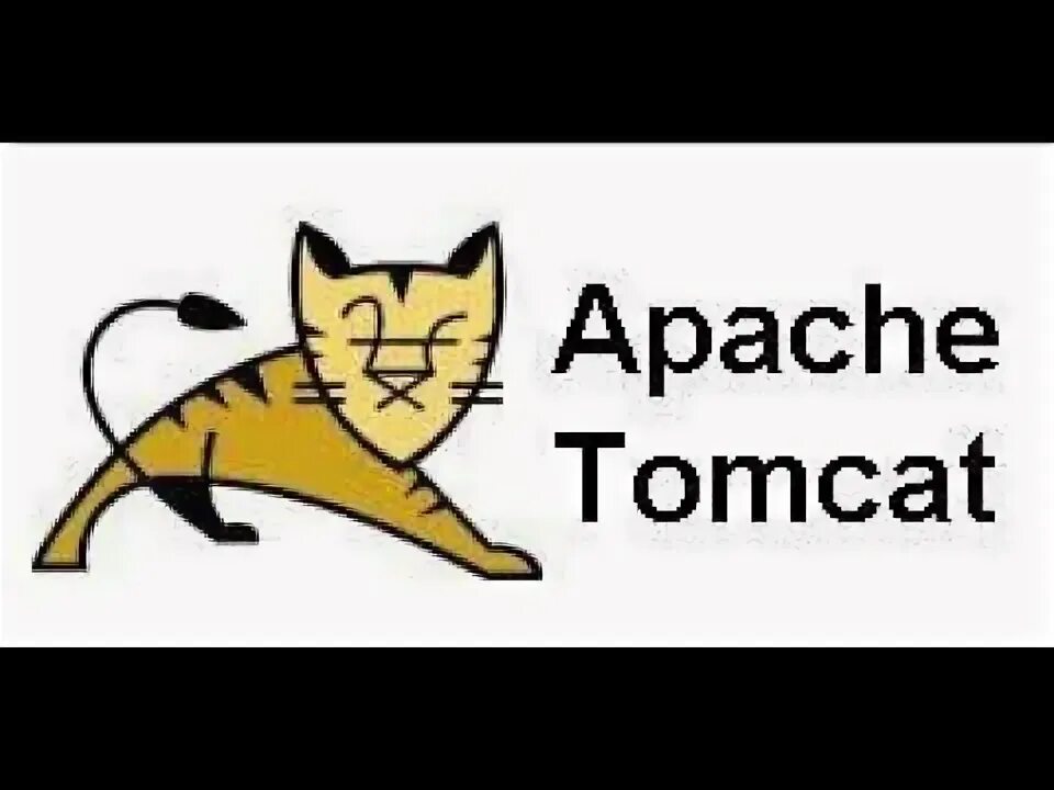 Tomcat org. Tomcat logo. tomcat 8.x логотип.