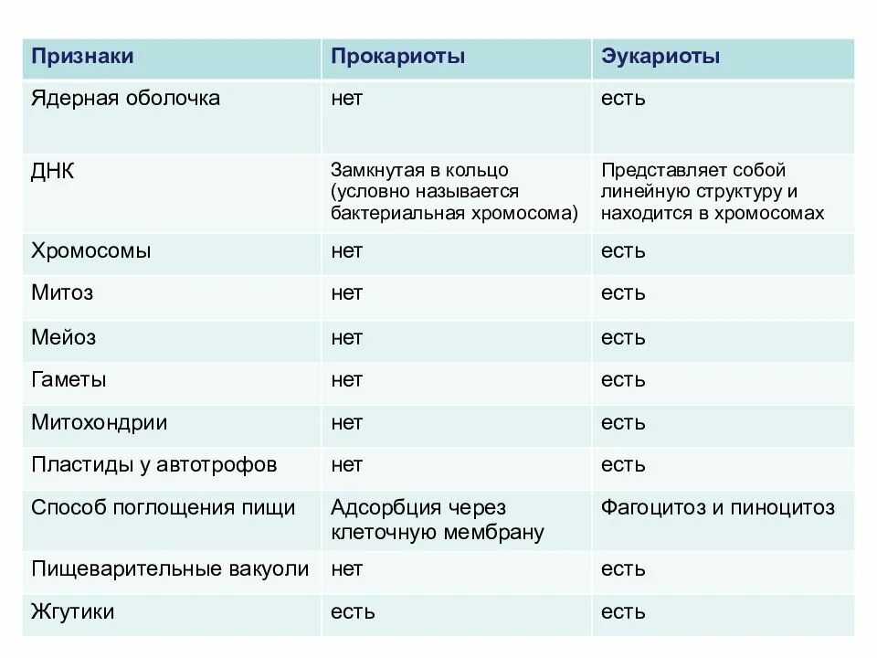 Эукариоты сравнение. Сравнительная характеристика прокариот и эукариот гаметы. Сравнительная характеристика прокариот и эукариот. Строение клеток прокариот и эукариот кратко. Сравнение строение эукариотических и прокариотических клеток.