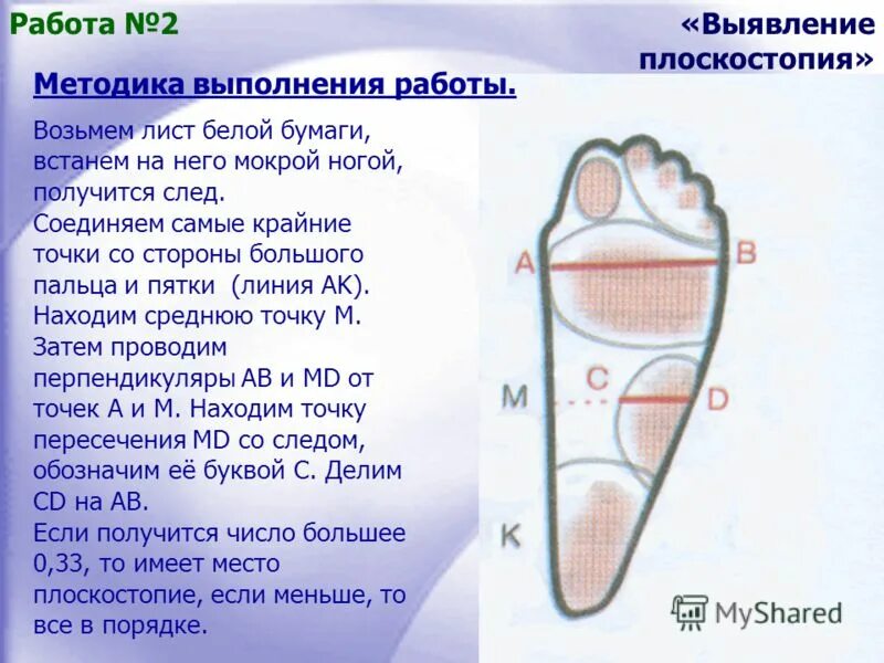 выявление плоскостопия 8 класс. биология 8 класс драгомилов плоскостопие практическая. "есть ли у вас плоскостопие?. лабораторная работа плоскостопие. практическая работа по теме плоскостопие.