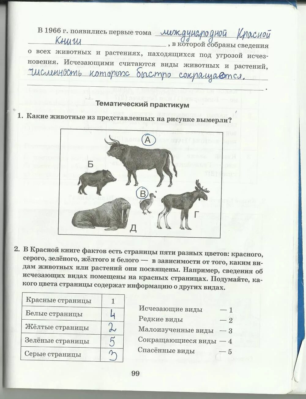 Домогацких 6 класс рабочая. Рабочая тетрадь по географии 6 класс Домогацких вопросы. География рабочая тетрадь шестой класс е м Домогацких ответы. Домашние задания по географии 6 класс стр. 99 задание 5..