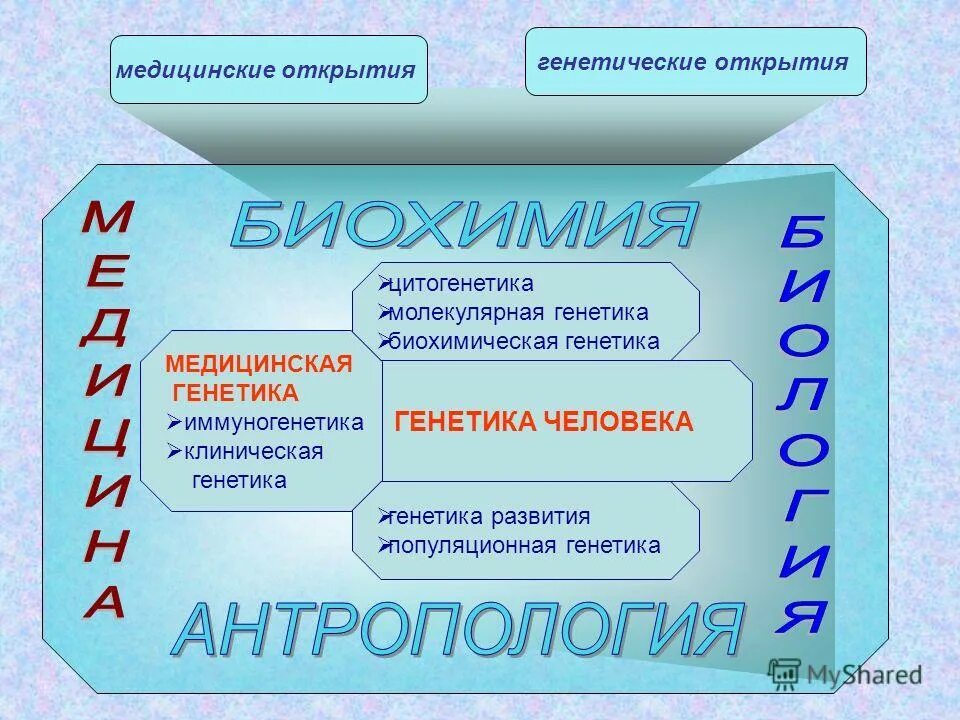 генетика человека с основами медицинской генетики тесты