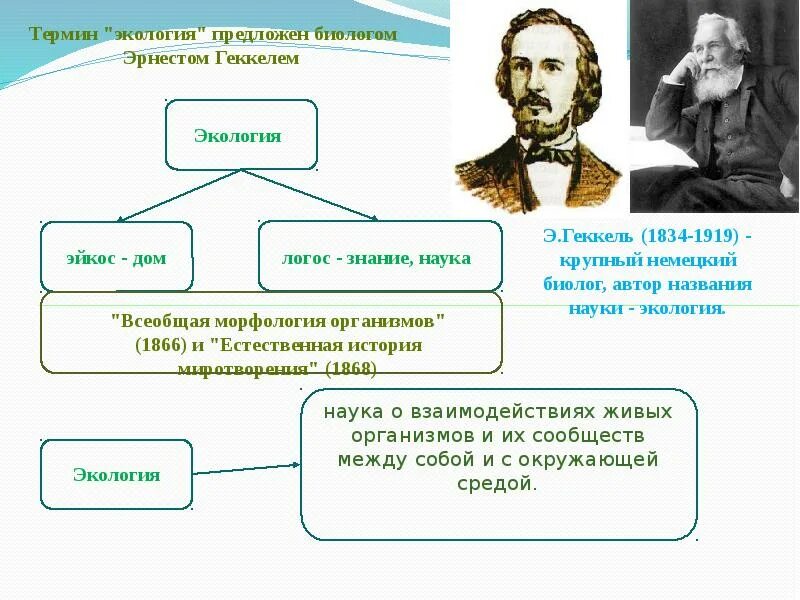 Термины экологии и их авторы. Кто предложил термин экология. Термин экология был предложен. Первым предложил термин "экология". Термин экология в 1866 году