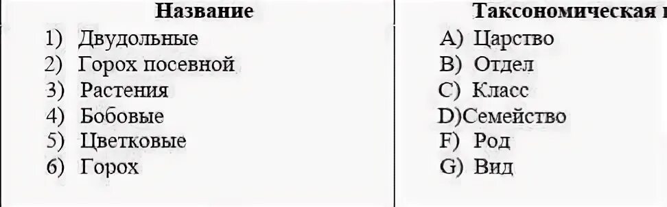 Классификация животных с наименьшей систематической группы