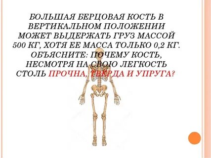 Что значит вертикальное положение