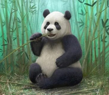 Pandas def