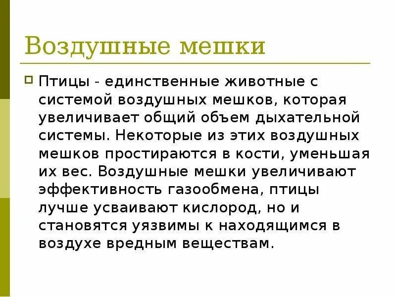 Воздушные мешки у птиц функция. Воздушные мешки функции. Значение воздушных мешков у птиц. Воздушные мешки значение.