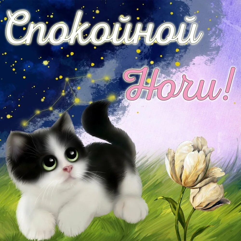 Пожелание спок. Открытки спокойной ночи. картинка спакойни ночи. картинки споклйнойночи. спокойной ночи картинки красивые.