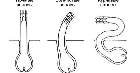 Типы волос прямые