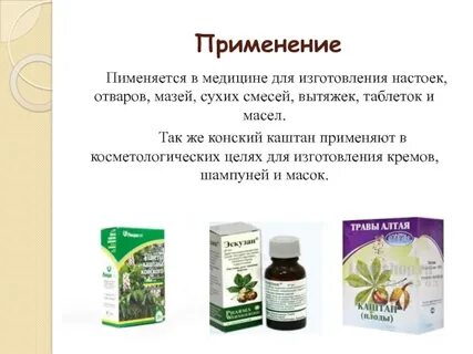 Рецепт каланхоэ настойки