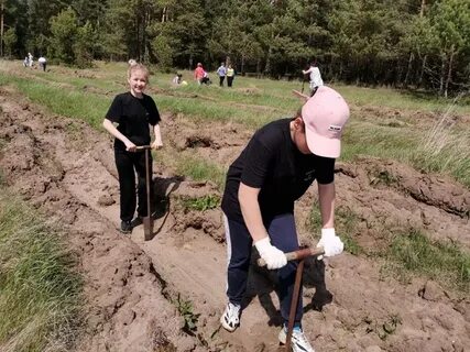 Видео посадил