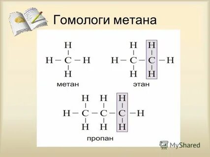 4 гомологом метана является
